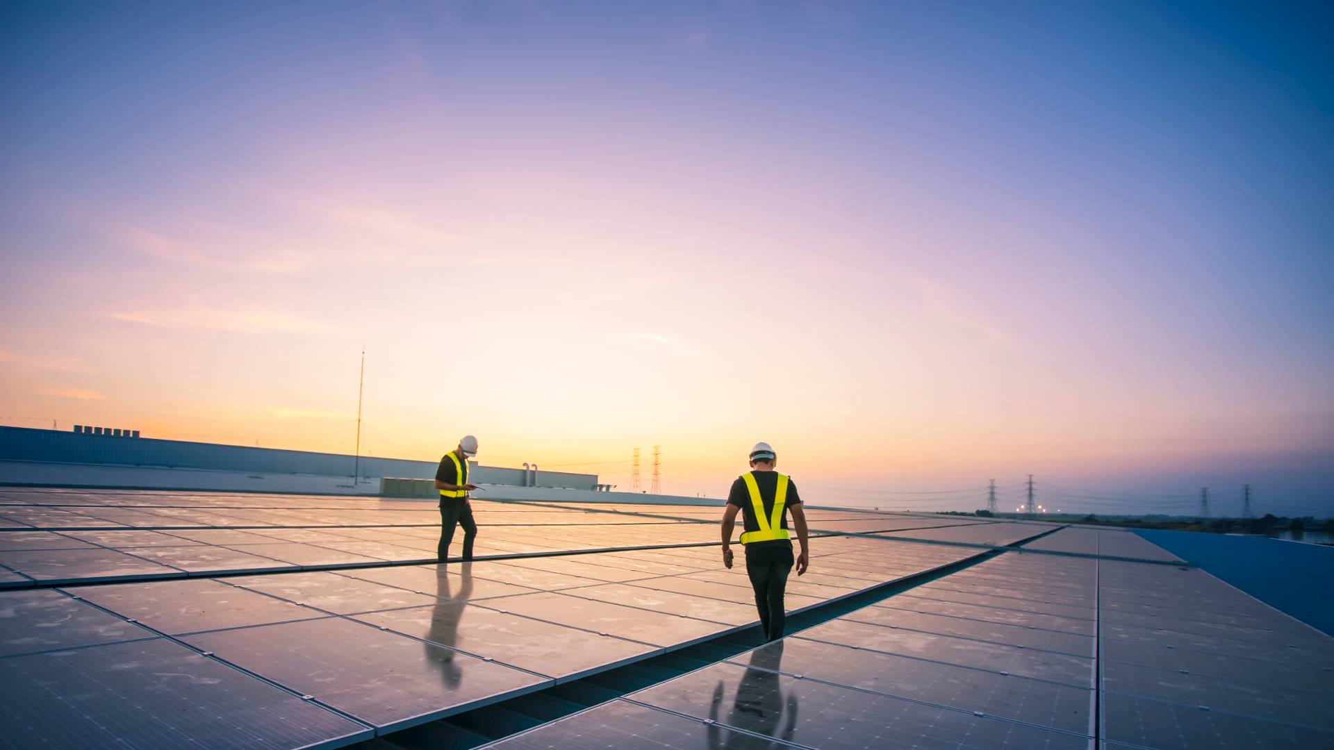 شروط الاستخدام