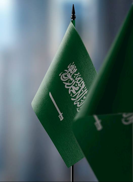 رؤية السعودية